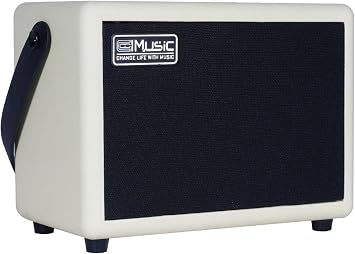COOLMUSIC Unique 10G 10W Wireless Electric Guitar Amplifier with Wireless connectivity, Distortion Effects, Portable Practice Amp for Home and Music Party