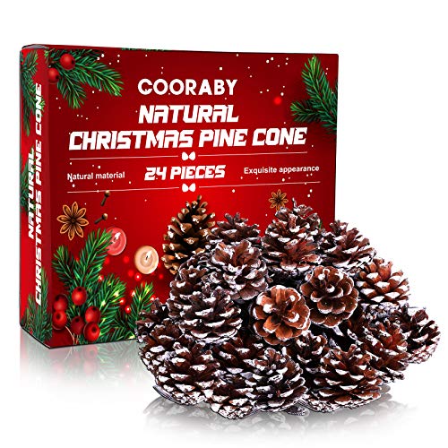 Cooraby 24 Pieces Christmas Pine Cones Ornament Natural Pinecones With String Pendant Crafts For Gift Tag Christmas Tree Party Hanging Decoration (Snow) #TOP1