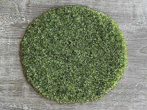 Peridot Chips – Natural Mini Peridot Stones, Crushed Undrilled Peridot, Semi-Tumbled Genuine Peridot (1 lb Bulk)