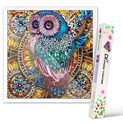 ariel-gxr Diamantmalerei, 5D-Diamantmalerei-Kits für Kinder und Jugendliche, DIY-Kristallstickerei, Kunsthandwerksgeschenke für Jungen und Mädchen geschenke 6 7 8 9 10 Jahren - Eule Cover