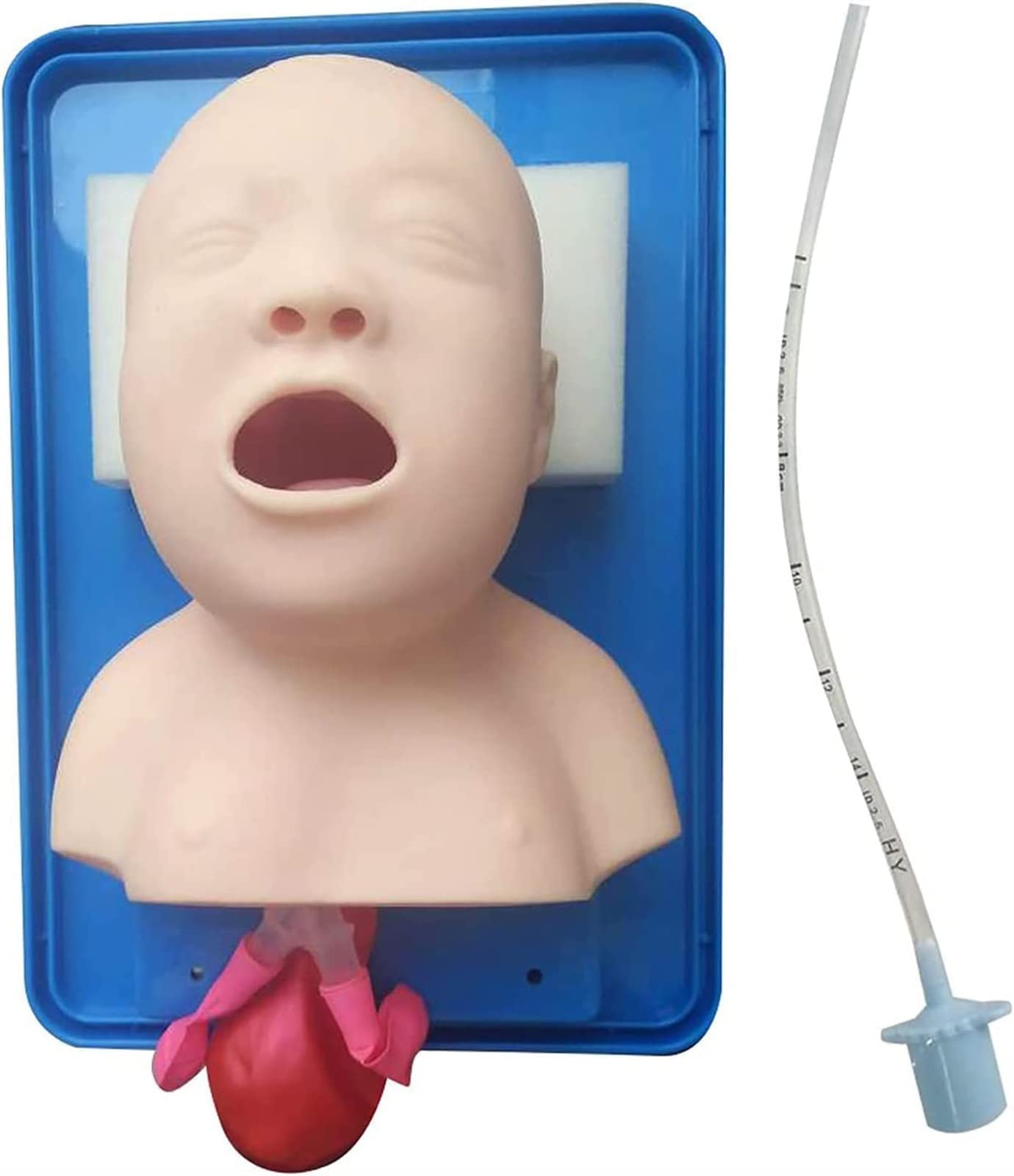 WlP Intubazione tracheale avanzata Modello PVC Intubazione pediatrica Manichino Tracheal Child Airway Trainers Nurse Lab Intubazione endotracheale Insegnamento