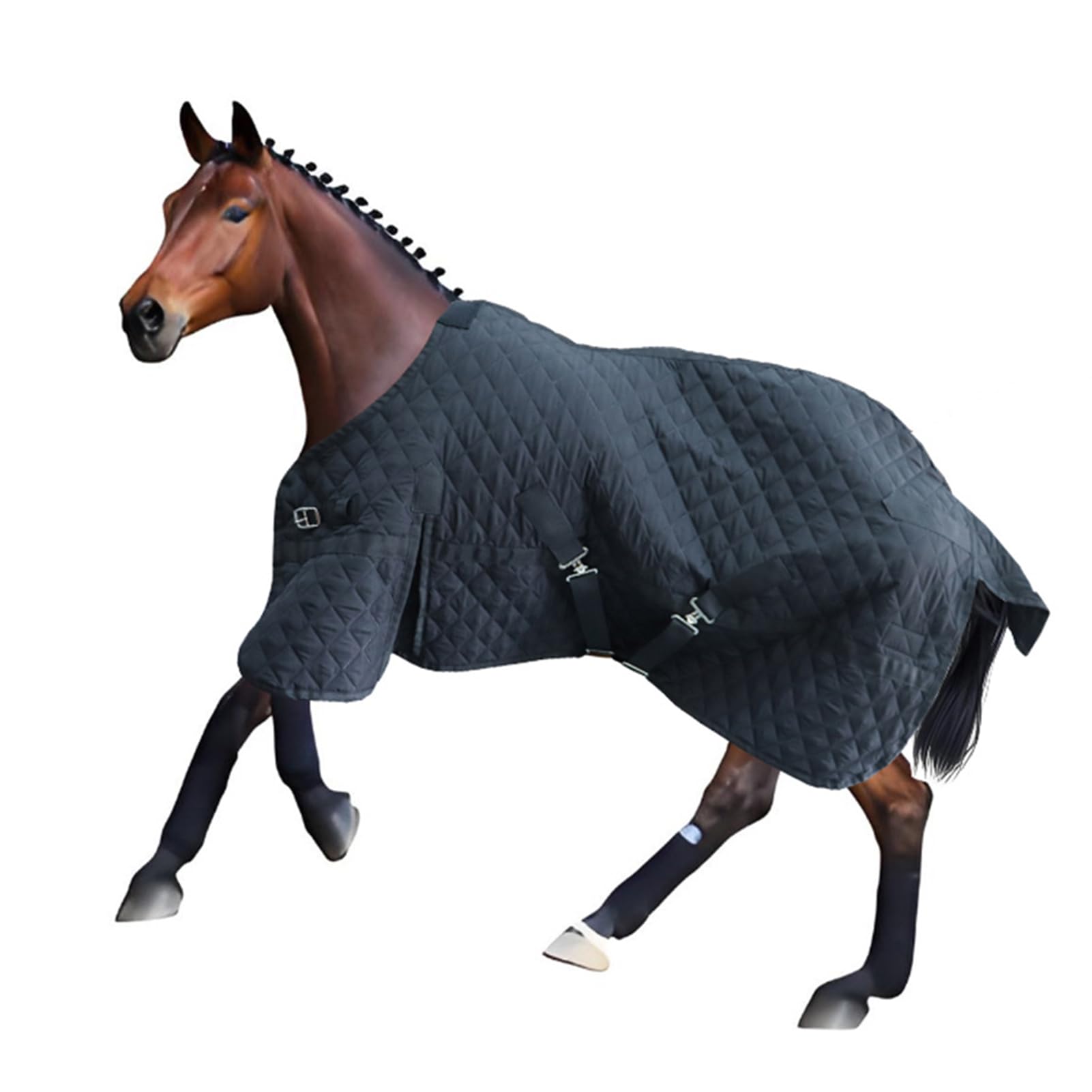 Luocute Coperta Trapuntata per Cavallo, per Addestramento Equestre (BLACK)