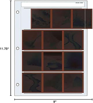 Print File 120 Size Negative Pages Holds Four Strips of Three 6x6 Frames, Pack of 100