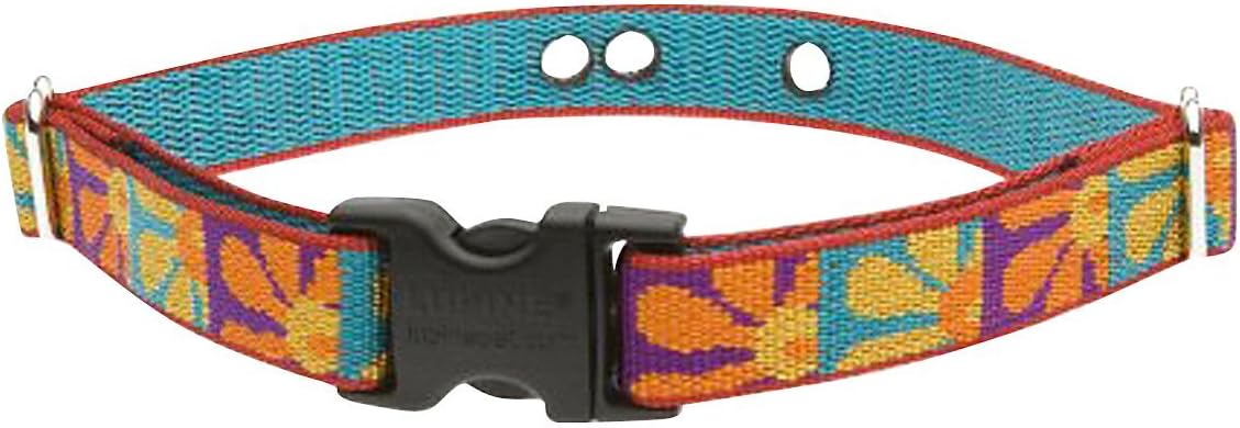 LupinePet Originals 3/4" Crazy Daisy 9-12" Containment Collar Strap for Small Dogs