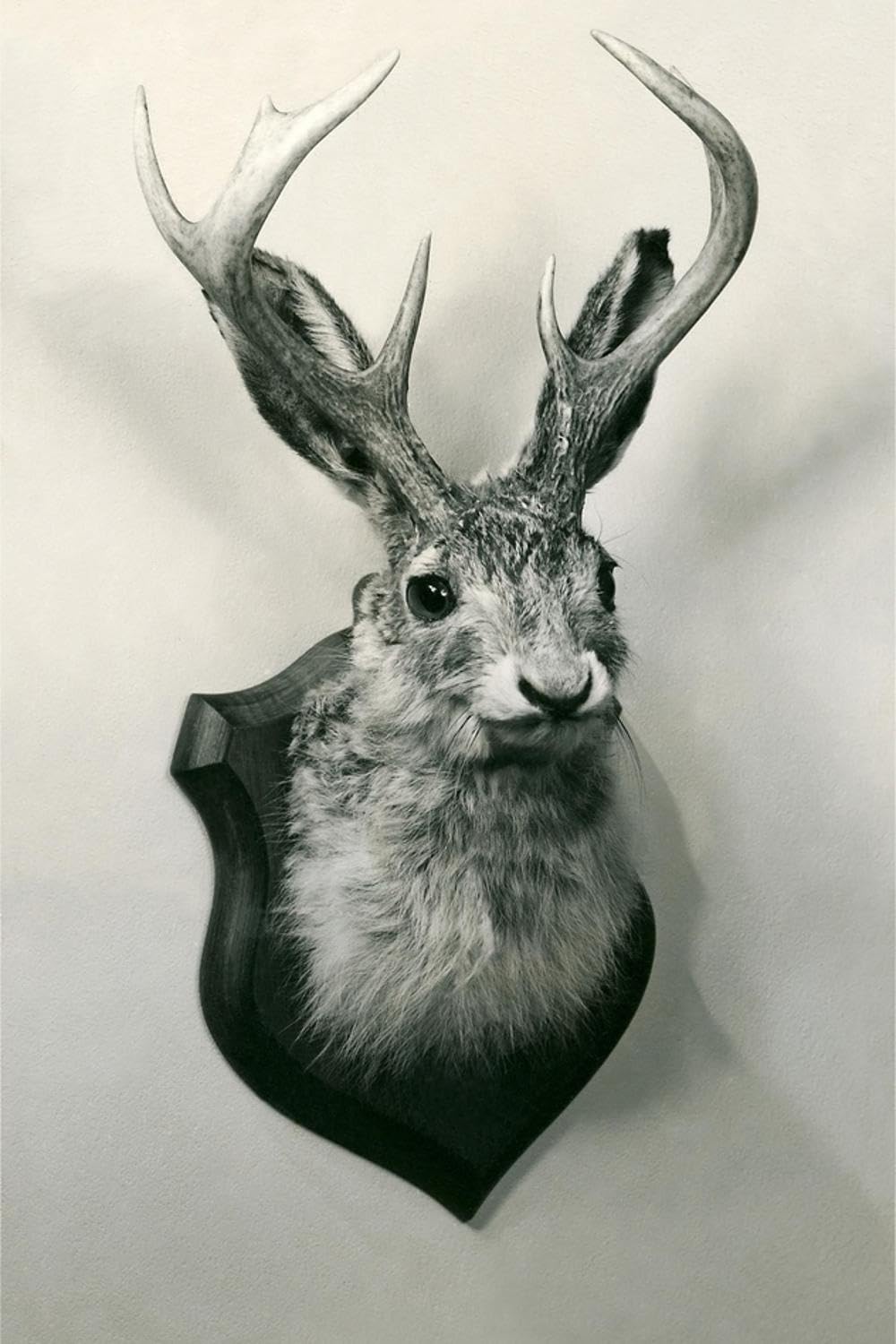 ART.COM Wall Art Print Stuffed Jackalope, 12" x 18"
