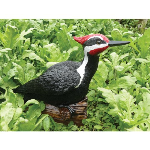 Chirper Pileated Woodpecker Statue By Michael Carr Designs - Outdoor Bird Figurine For Gardens, Patios And Lawns (80019) #TOP2