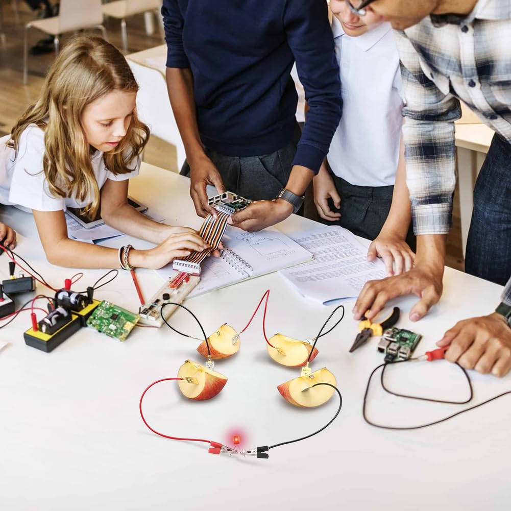 Kit Scientifico Orologio A Patata Per Bambini – Esperimento Fai Da Te Educativo E Creativo – Gioco Di Chimica
