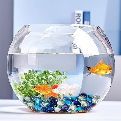 Miniatura 2 de Piedras de cristal de concha de mar de 2 libras, relleno de jarrón para pecera, acuario, piedras de fuego para fuente, fiesta temática de playa,