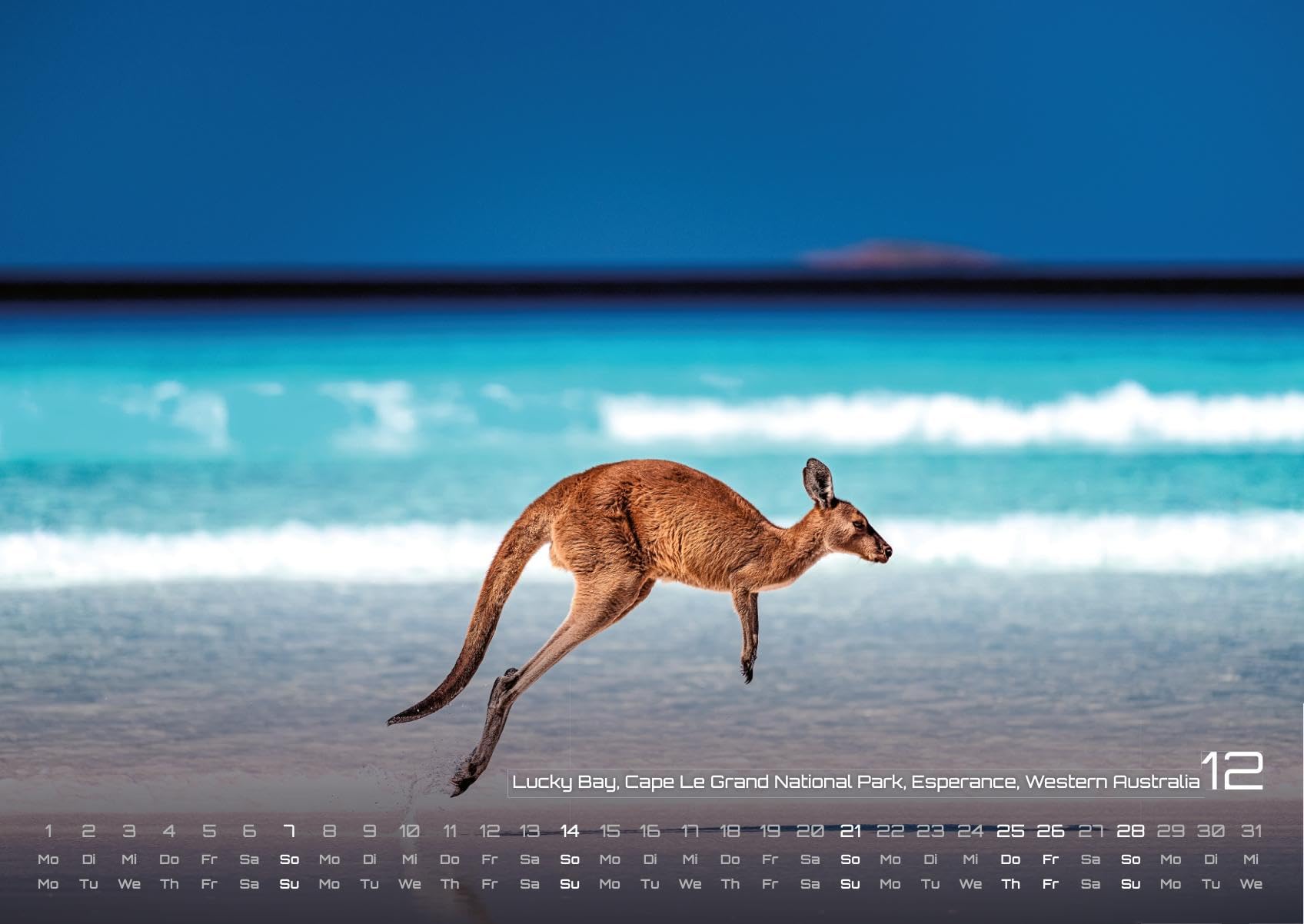 Australien - das Land der Kängurus - 2025 - Kalender DIN A2: Der Wandkalender mit den schönsten Motiven Australiens für das Jahr 2025 im extragroßen Format DIN A2 (ca. 60 x 42 cm)!