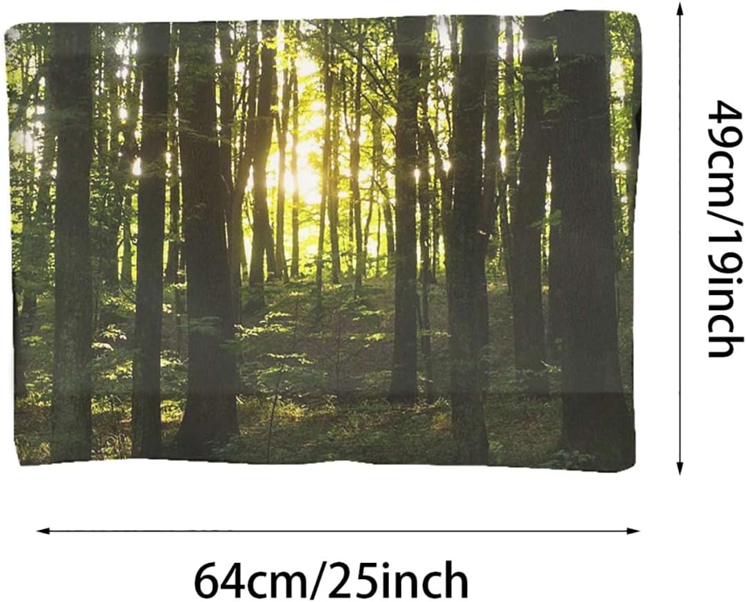 review Green Soft Warm Pet Fleece Throw for Small Dogs and Cats Forest Fresh Calm Nature Park Hiking Picture for Bed, Couch, Sofa, Travel,Washable & Lightweight Jungle 19