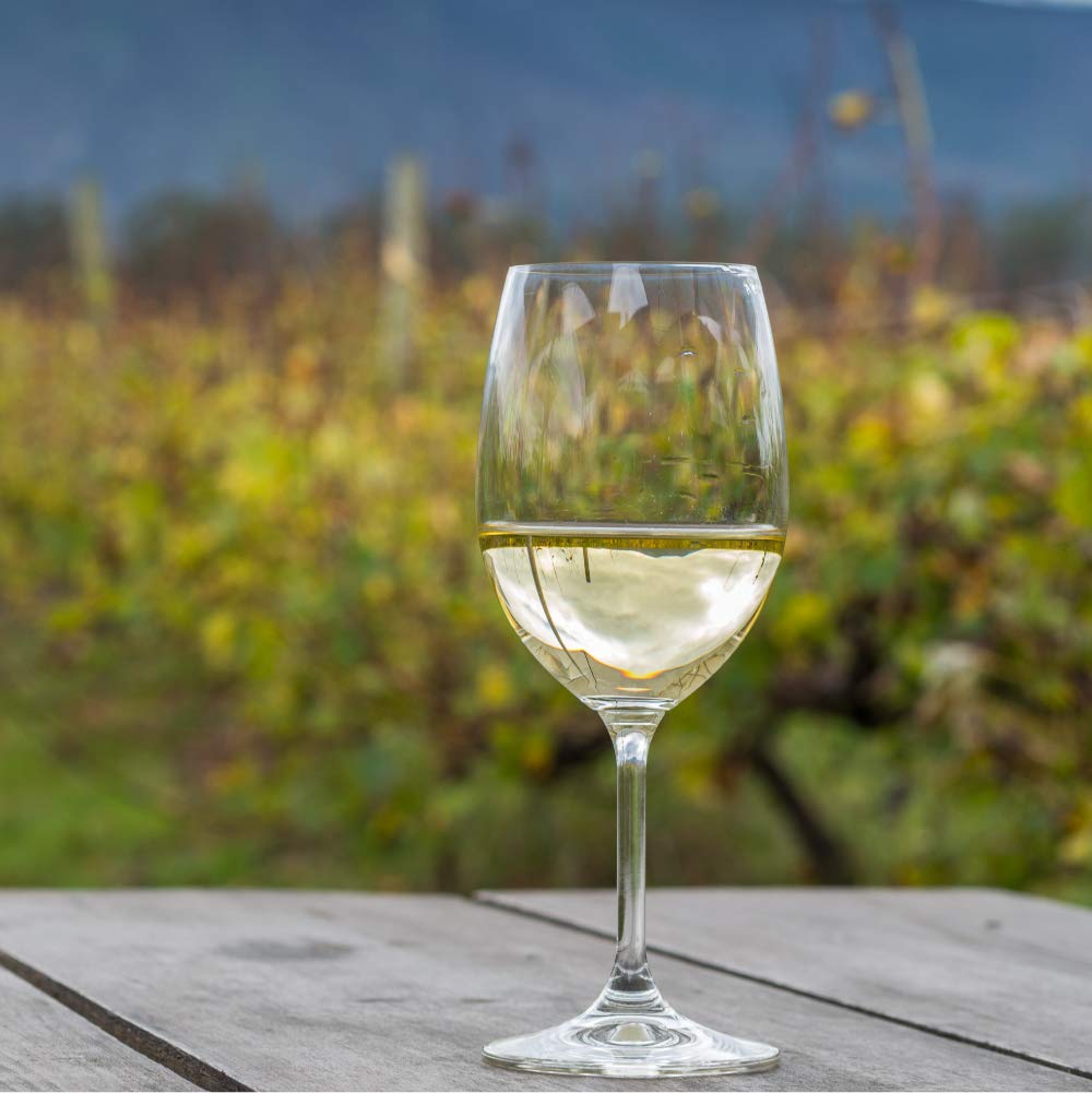 Bag in Box 5L vino blanco verdejo 5 Litros afrutado seco caja de vino blanco con grifo Verdejo Paz VI | Bodega Los Corzos