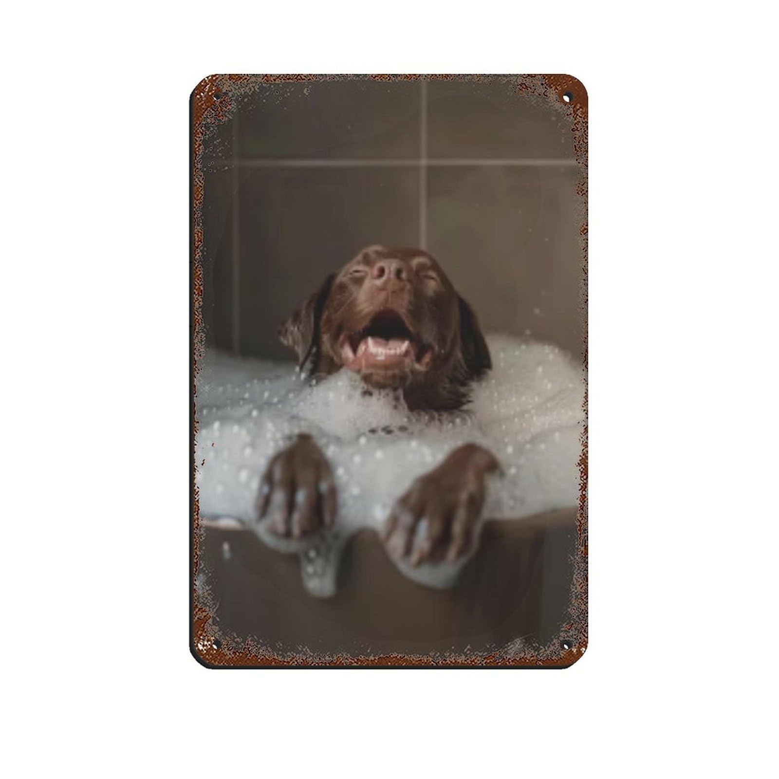Chocolate Labrador Retriever Bathroom Art (2) Retro Poster Metal Tin Sign Chic Art Retro Iron Painting Bar People Cave Cafe Family Garage Poster Wall Decoration 8x12inch(20x30cm)