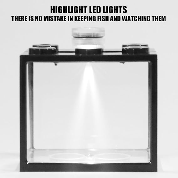 Space Saving Stackable Aquarium 6 Hole Construction Suitable for Desktop Fish Keep Simple Maintenance Small Tanks