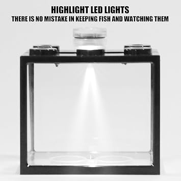Space Saving Stackable Aquarium 6 Hole Construction Suitable for Desktop Fish Keep Simple Maintenance Small Tanks