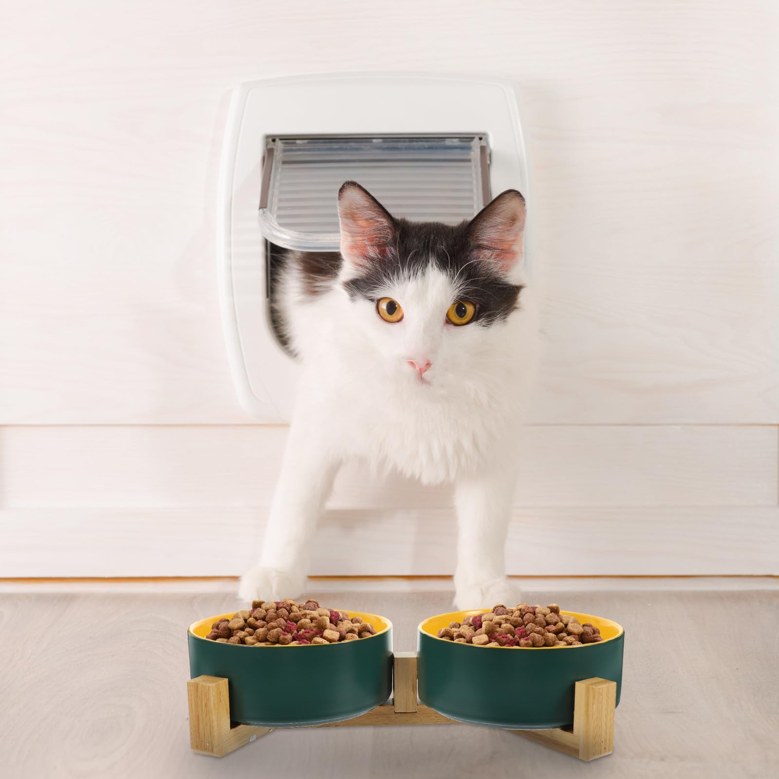 ibasenice Gamelle Surélevée pour Chat en Céramique Mate avec Support en Bois, Double Bol Pratique et Facile à Nettoyer pour Animaux Domestiques