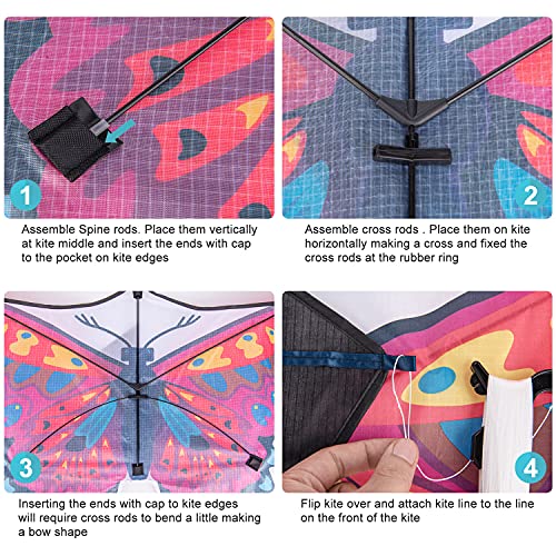 Funyole Farfalla colorata 1 confezione, grande e