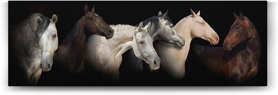 tabloshop Horses Panorama Tablo - 120x40cm