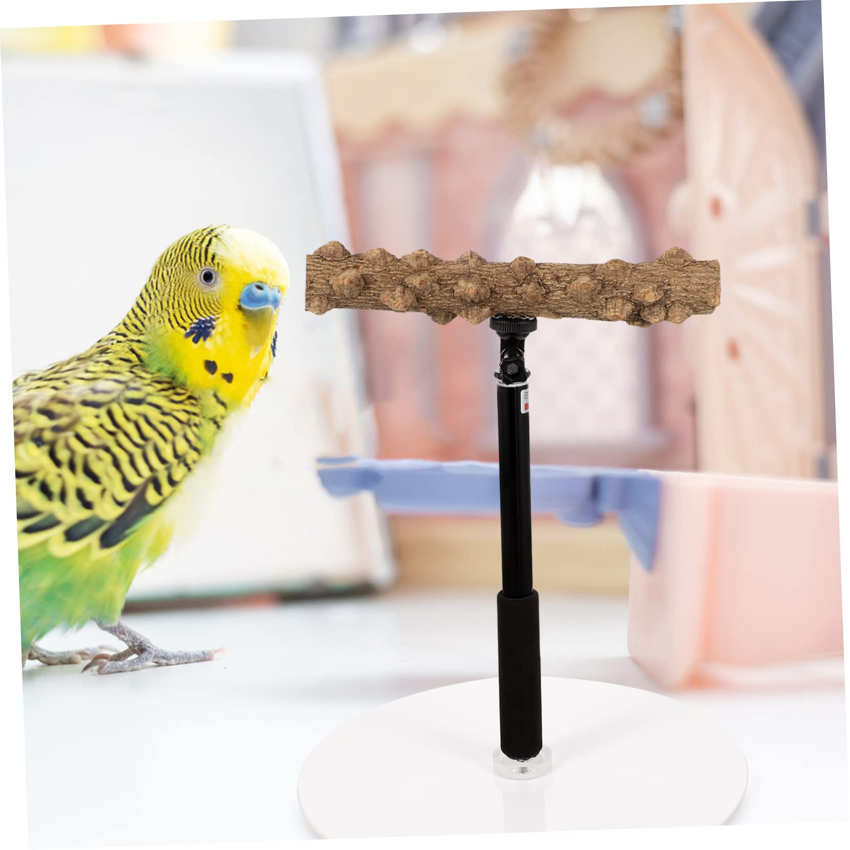 Percha Ajustable de Altura para Loros y Aves, Soporte Metálico | Base Estable, Superficies Rugosas, para Entrenamiento y Observación de Aves Cantando