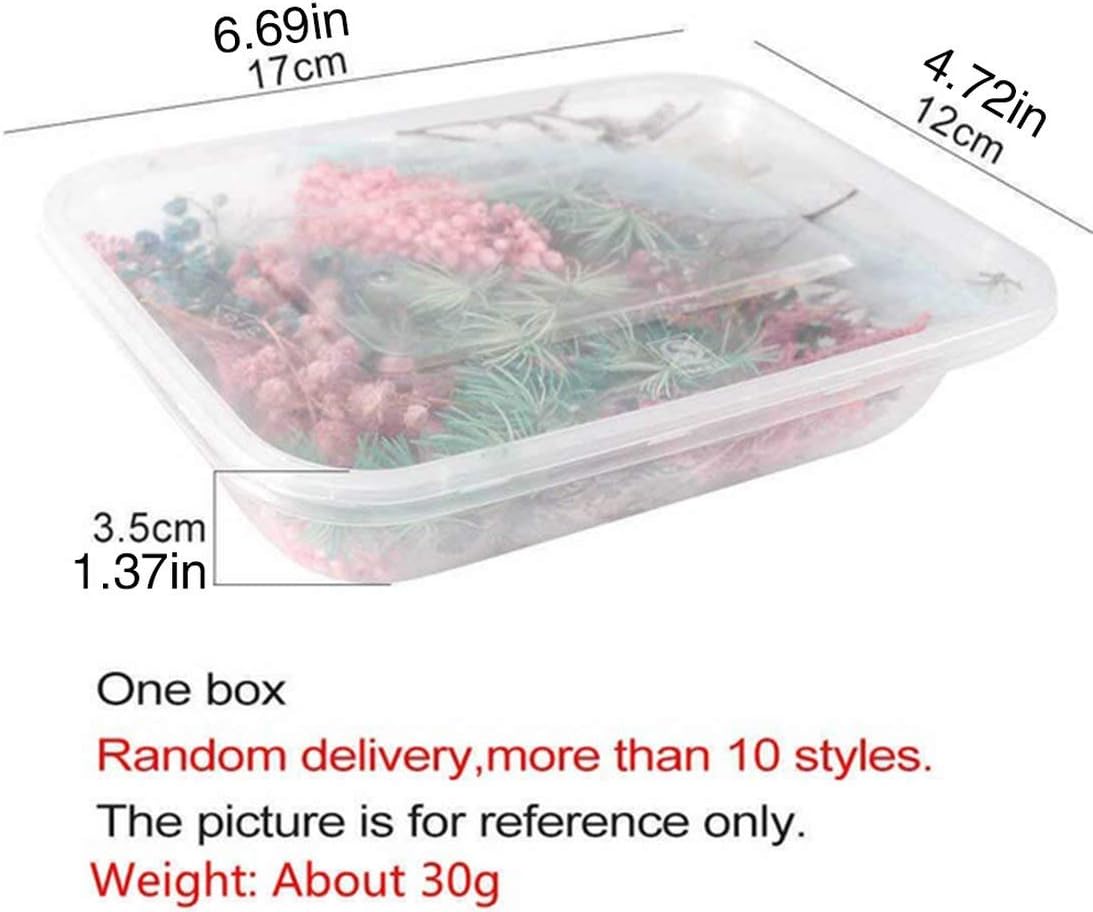 Real Dried Flower Dry Plants For Aromatherapy Candle Epoxy Resin Pendant Necklace Jewelry Making Craft Diy Accessories-Random