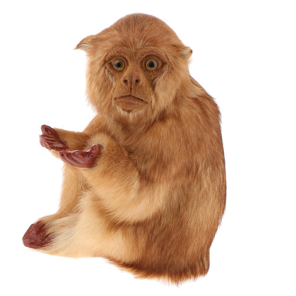 Alcxazs Enchanting Monkey Sculpture Adds Woodland To Fairy Garden Way To