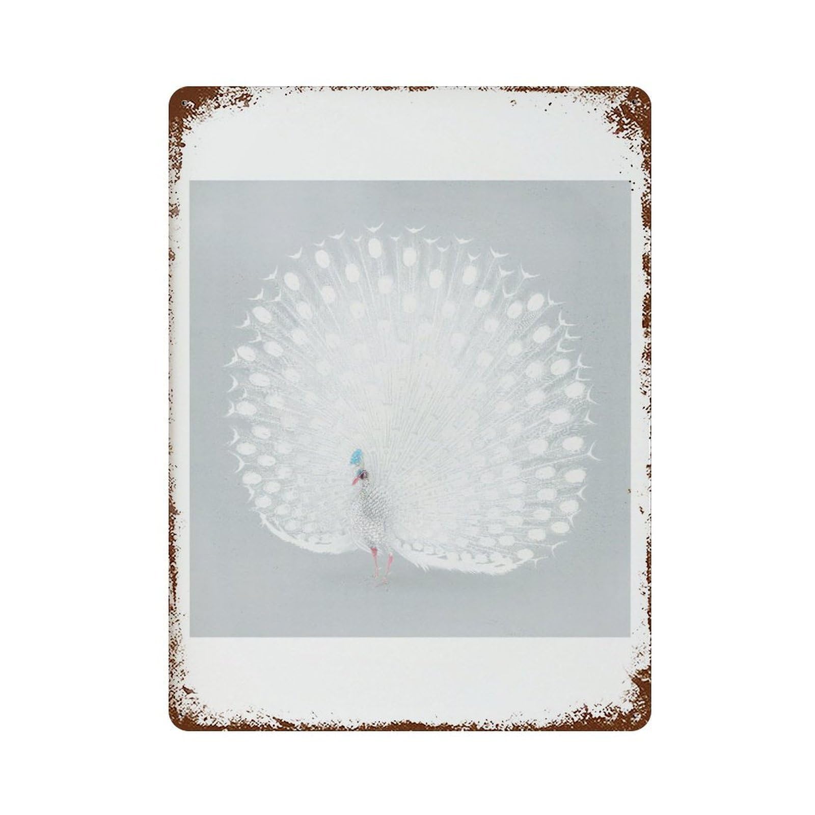 xiaoxiaoshen Japanese White Peacock Ohara Koson Woodcut Wall Decor Art Metal Tin Poster Modern Home Decor Art Home Bar Shop Decorations Vintage Sign 40x30cm