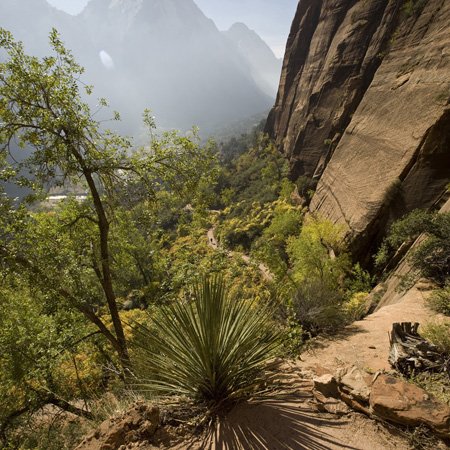 Angels Landing Trail plaque interrupteur double Zion 3dRose décoration