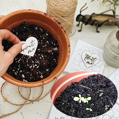 Mixrug PMAFE50PM 50 Plantable Wildflower Party Favor Paper, Ecological Heart Shaped Babyshower Favors For Guests - Bridal Funeral Memorial Plantable Gifts No Cards thumb #1