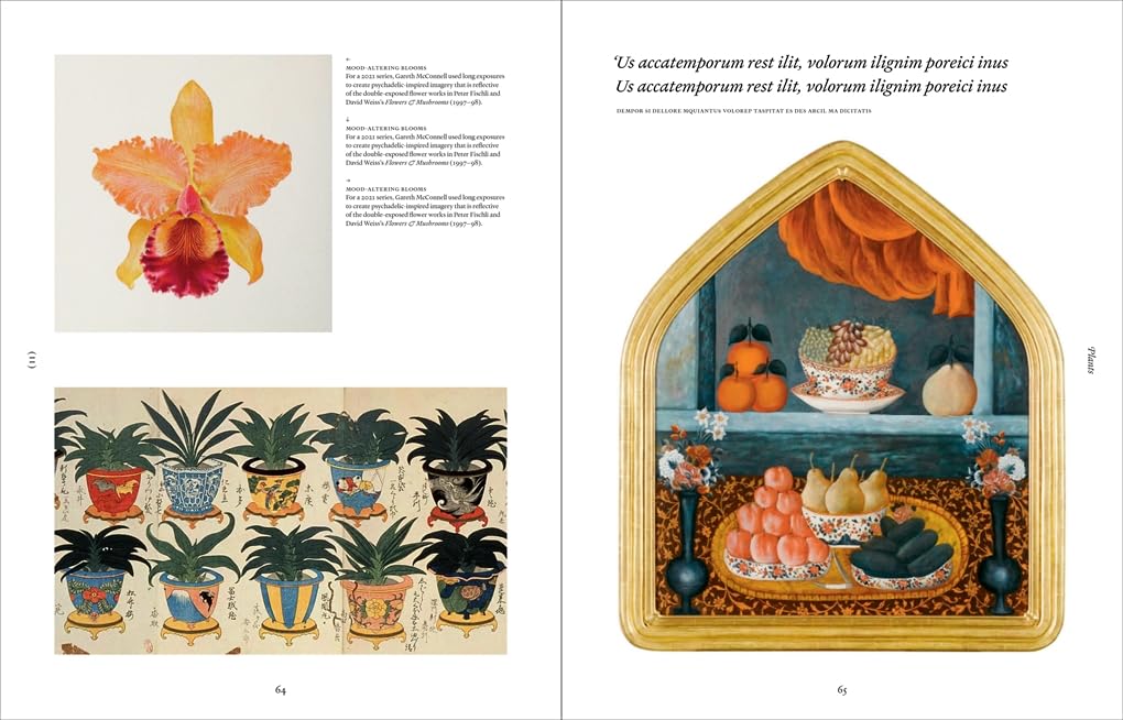 Ark: A visual treasury of Earth's living wonders