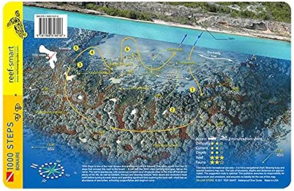 Клиторальды пирсинг фотосуреттері Венециандық устрицаның жыныстық позициясы