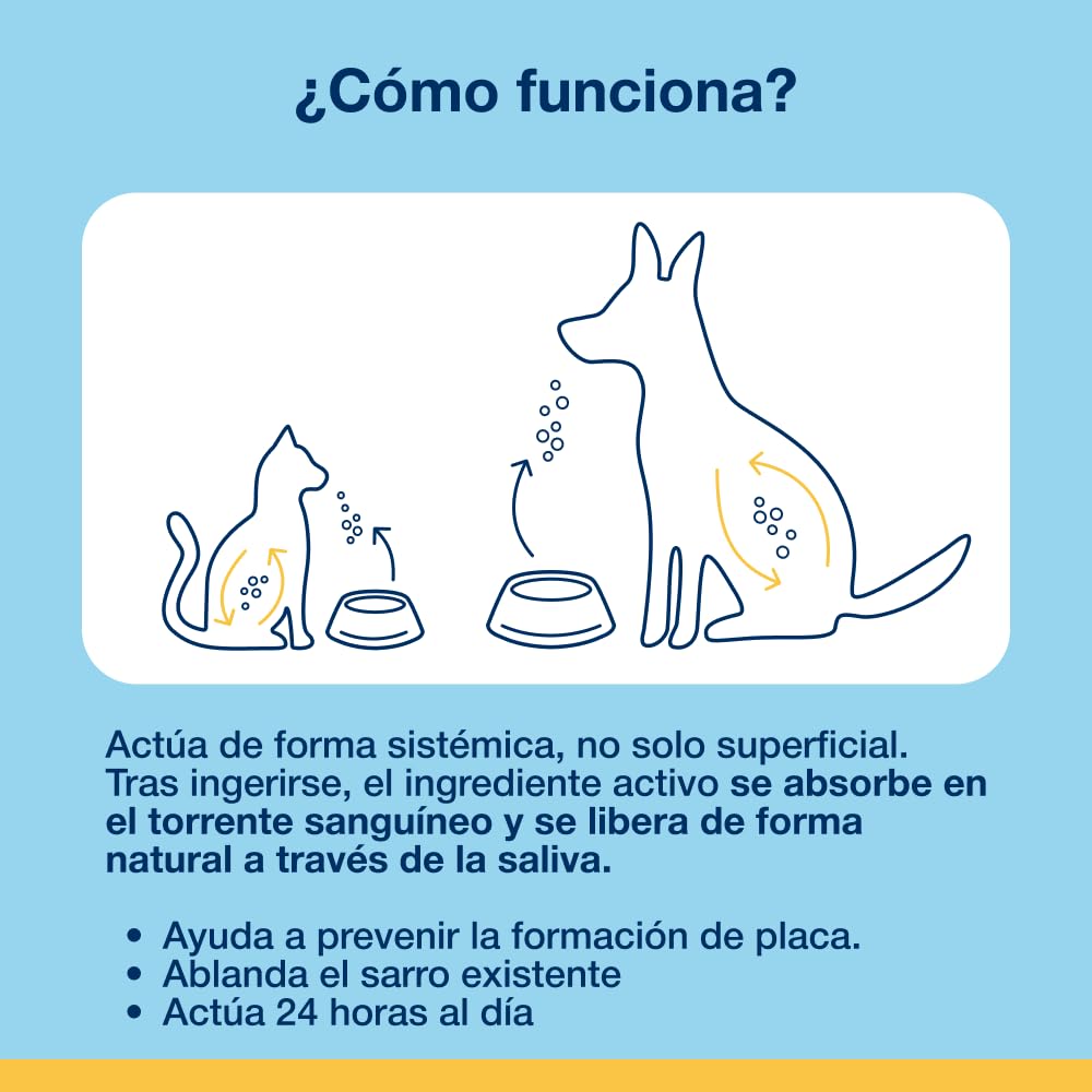 ProDen PlaqueOff Perros y Gatos en Polvo 60g, Limpieza Dental con 100% Alga Natural, Limpiador de Sarro Dental y de Placa, Elimina Eficazmente el Mal Aliento en Mascotas, Hasta 6 meses de duración