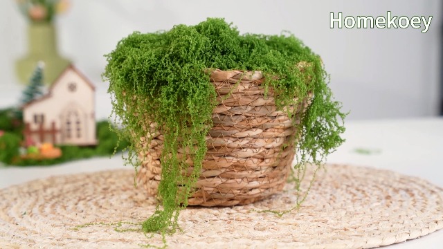 Amazon.com: homekoey Fake Green Moss for Potted Plants,Artificial