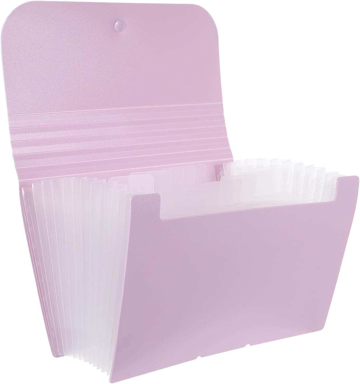 A6 Accordion File Organizer Box with 12 Pockets, Plastic
