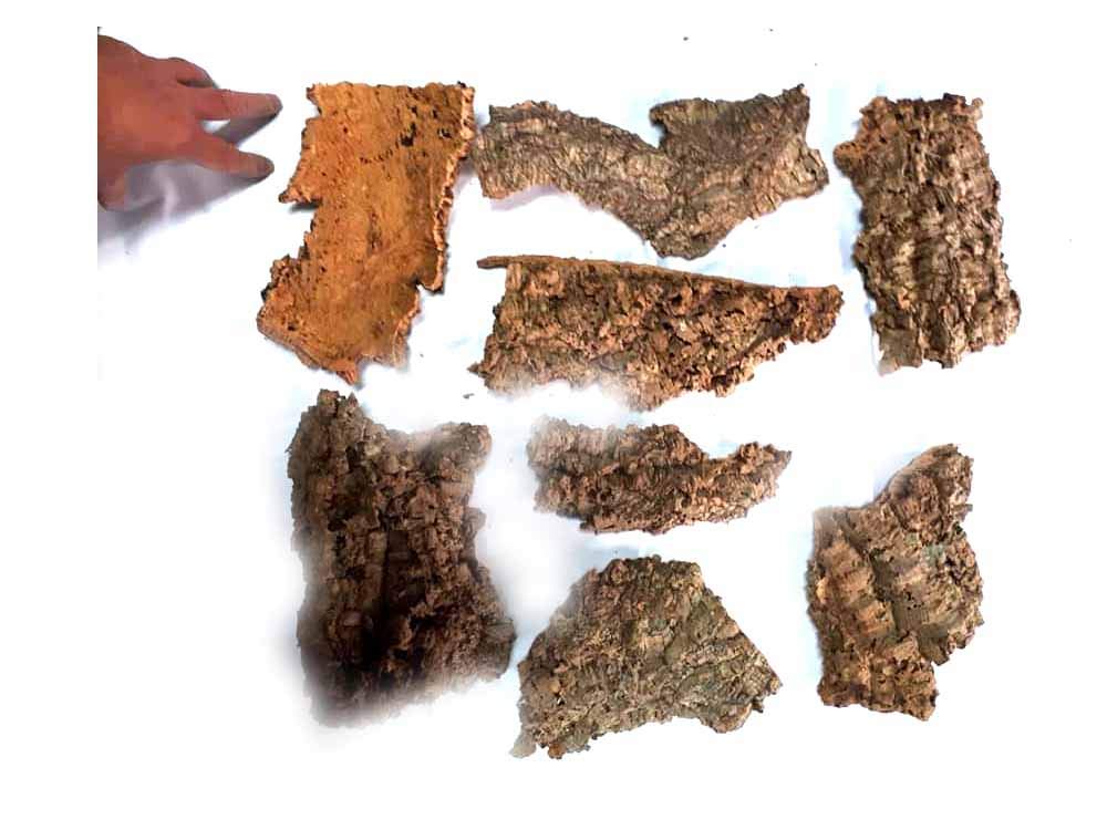 Recibe 5 kg de corteza natural de corteza natural de varios tamaños más 1 baraja 40 cartas napolitanas escoba objetos para Belén Pastores San Gorgorio Armenio artesanales shepherds crib