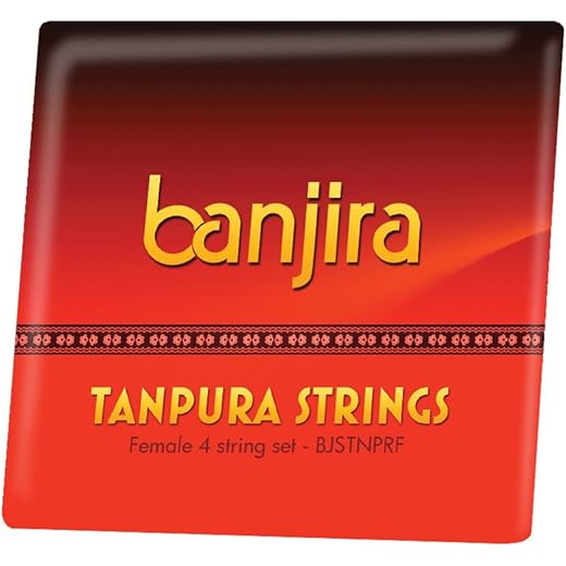 Banjira Tanpura String Set