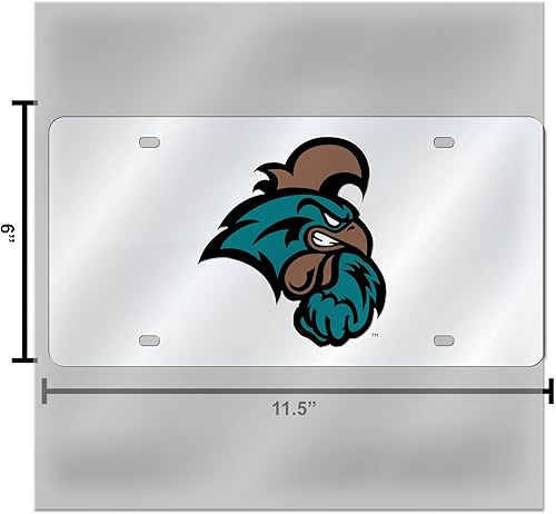 Miniatura 328 de Rico Industries Placa de matrícula de metal con incrustaciones láser de Florida Gators de la NCAA plateado,Alternativo,Negro -,Negro/Plata,Azul,azul