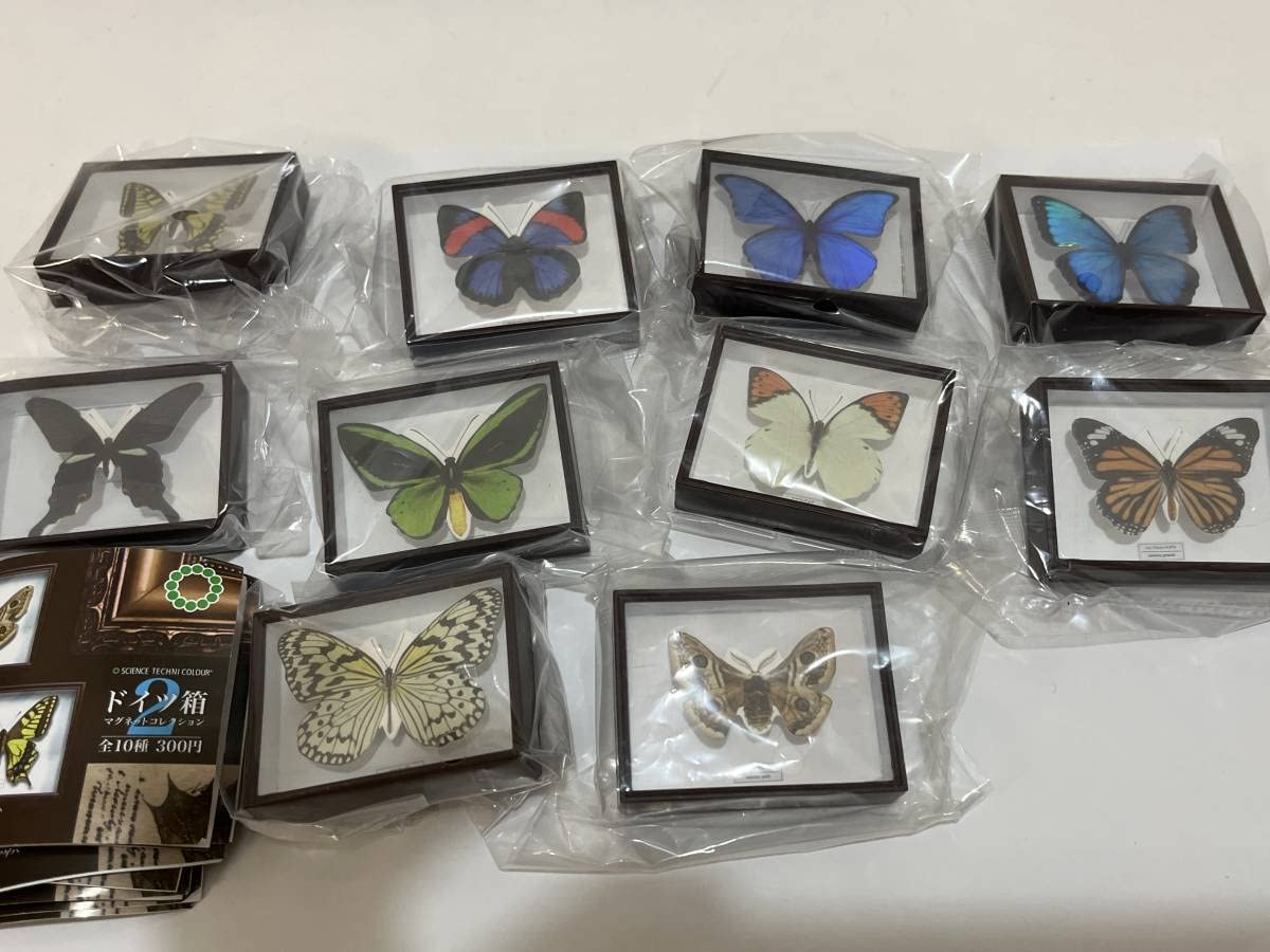 Amazon.co.jp: サイエンステクニカラー ドイツ箱 マグネット
