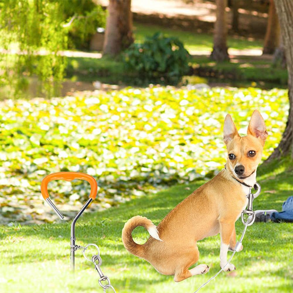 Cavo di collegamento per cani con ganci in metallo resistente, in acciaio inossidabile, copertura in PVC, per esterni, cortile, campeggio