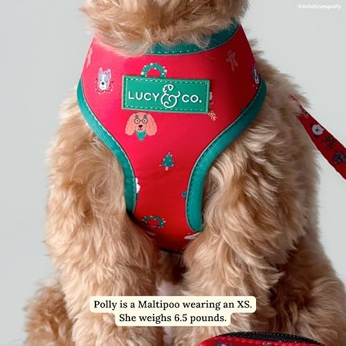 Miniatura 37 de Lucy & Co. Arnés reversible para perros pequeños, medianos, grandes y extragrandes Acojinado, ajustable, para pastor alemán, pug, bulldog francés