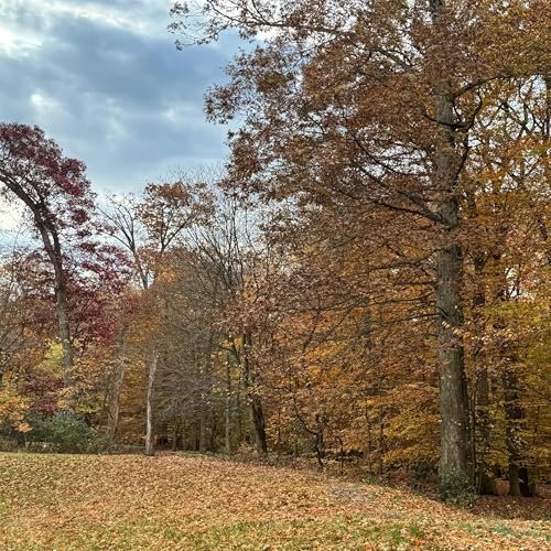 Couverture de Dead Leaves and Fresh Starts