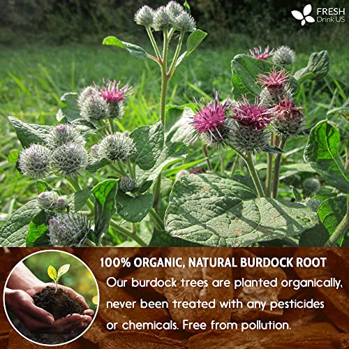 105 Premium Burdock Root Tea Bags, Pure, Organic, Non-Gmo, 100% Natural Burdock Root, Burdock Root Herbal Tea, Burdock Root Tea, No Sugar, No Caffeine, No Gluten, Vegan #TOP4