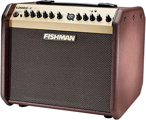 Fishman Loudbox Mini BT 60-Watt 1x6.5 Inches Acoustic Combo