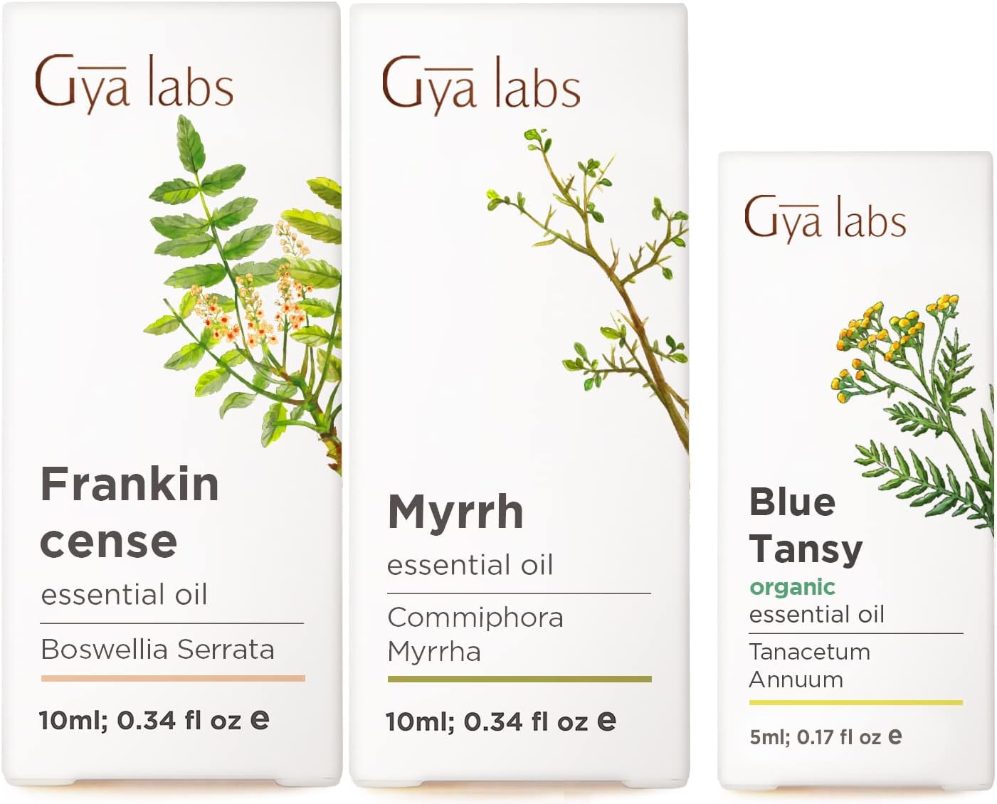 Frankincense & Myrrh Essential Oil for Diffuser (2X10ml) & Blue Tansy Essential Oil for Skin (5ml) Set - Aromatherapy Grade Essential Oils Set - Gya Labs