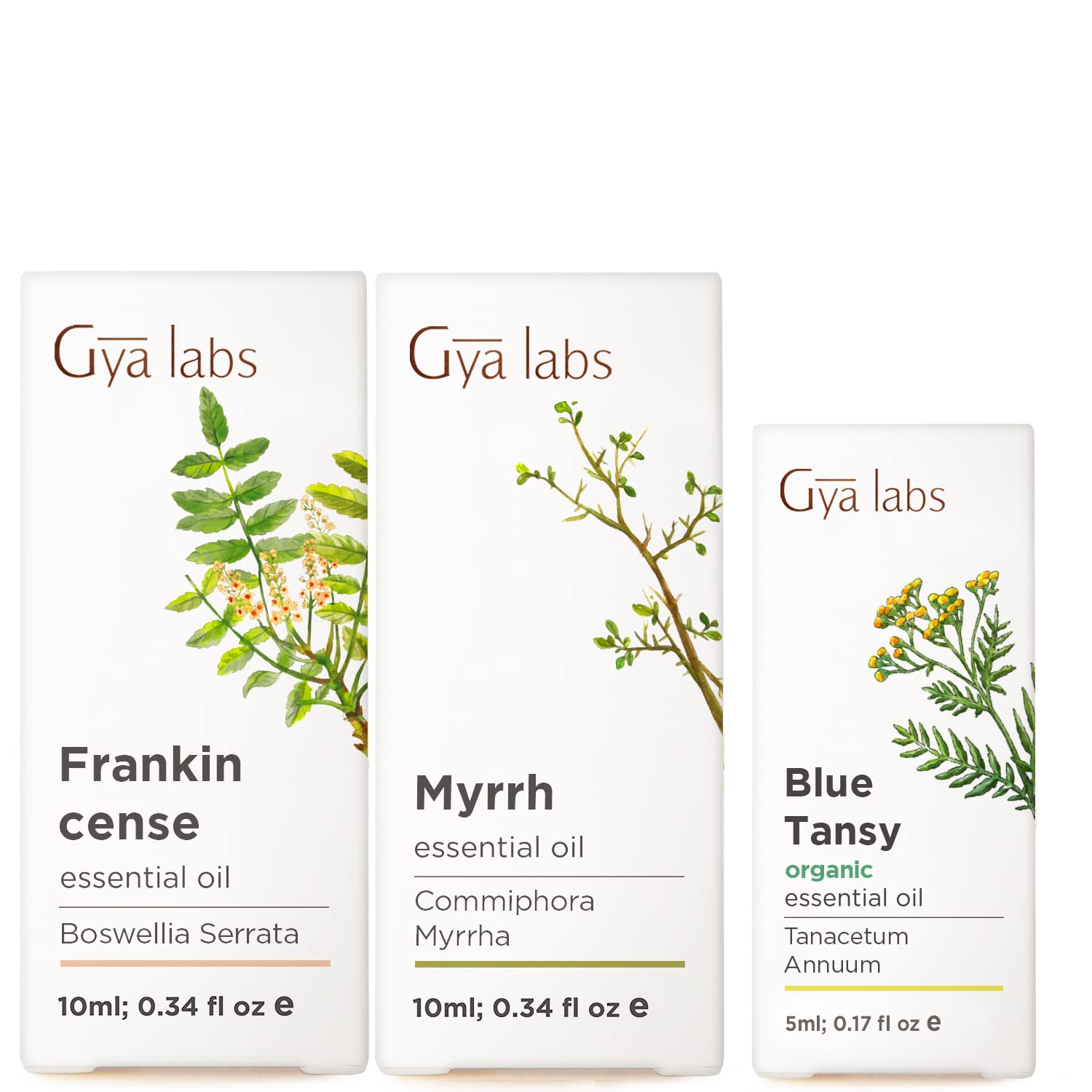 Frankincense & Myrrh Essential Oil for Diffuser (2X10ml) & Blue Tansy Essential Oil for Skin (5ml) Set - Aromatherapy Grade Essential Oils Set - Gya Labs