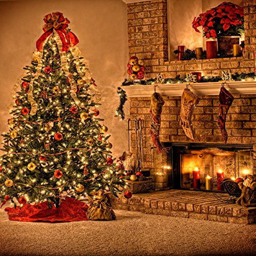 Ouyida Christmas Theme 10X10Ft Seamless Cp Pictorial Cloth Photography Background Computer-Printed Vinyl Backdrop Ga05A #TOP4