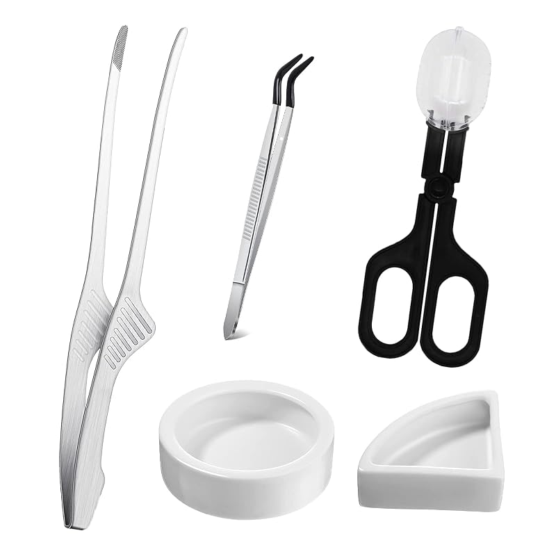 Kit de alimentação para répteis Woyrise com pinças, pegador de insetos e recipientes cerâmicos, 5 peças