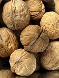 Noci italiane in guscio (3 kg)