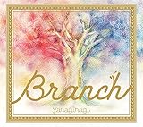 Branch(��������)
