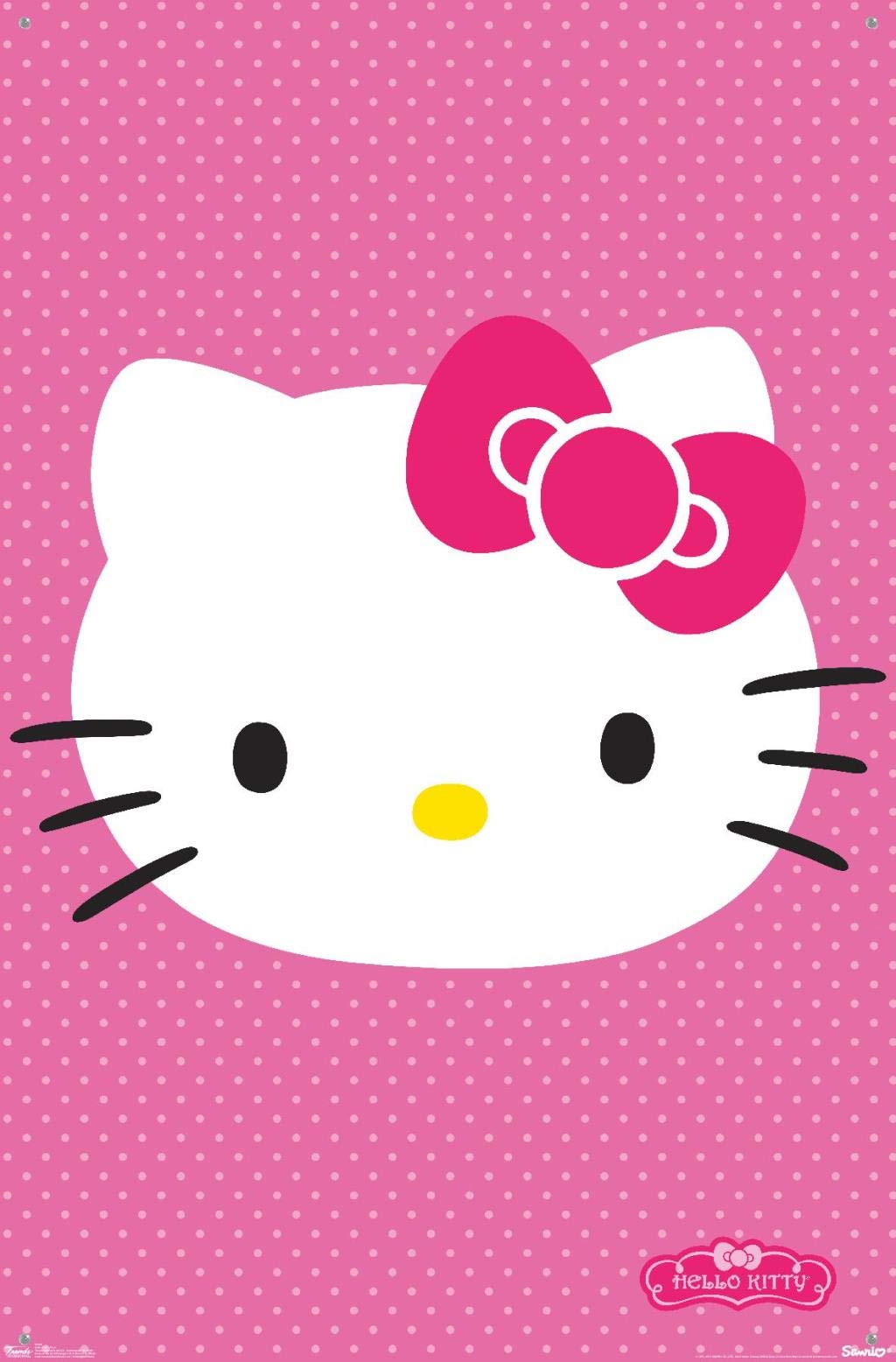 HelloKitty キティちゃん ポスター HelloKitty キティちゃん ポスター Amazon.co.jp: Trends