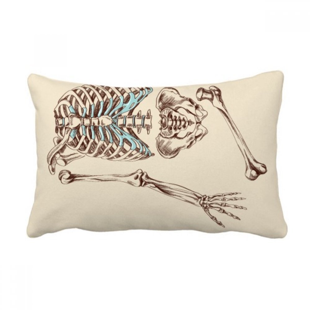 Squelette humain coussin esquisser 40x60cm multicolor pour canape