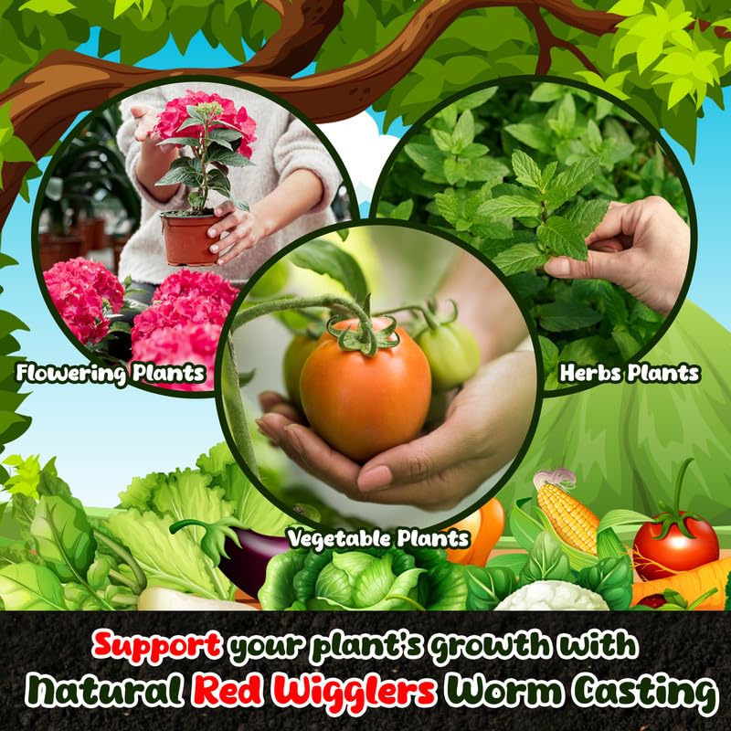 Miniatura 4 de Fundición de gusano orgánico para jardinería 5 libras - Procedente de gusanos rojos ondulantes - Enmiendas del suelo y tierra de jardinería para